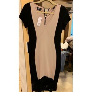 BEBE Two Tone Lace Hem Dress